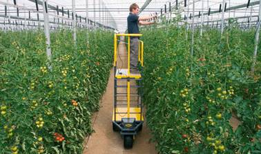 Greenhouse harvest trolley - A3R - 1700 - IDM - self-propelled /  adjustable-height