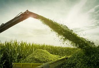 What-Is-Silage