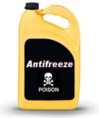 : : : : : Antifreeze_poison