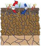 Bodenbearbeitung