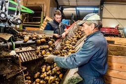 Extreme weersomstandigheden maken het moeilijk voor de aardappelboeren |  Alphen | AD.nl