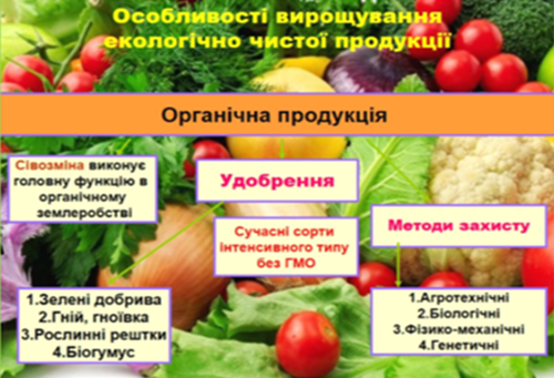 A picture containing text, vegetable, fruit, different

Description automatically generated