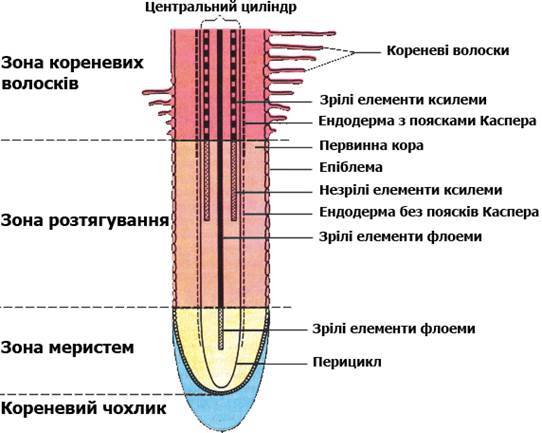 016