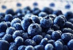 blueberry-3460423_1920