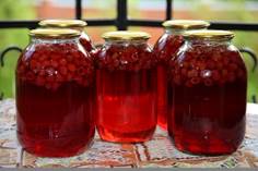 kompot