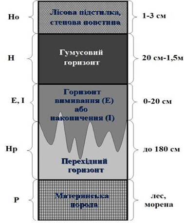 http://academia.in.ua/sites/default/files/field/image/403.JPG