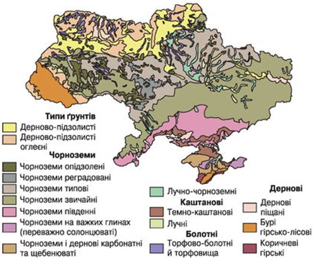 Geografiya_6_klas_Gilberg-153