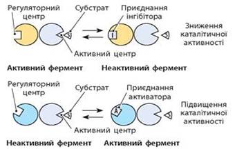 : : https://history.vn.ua/pidruchniki/zadorozhnij-biology-and-ecology-10-class-2018/zadorozhnij-biology-and-ecology-10-class-2018.files/image097.jpg