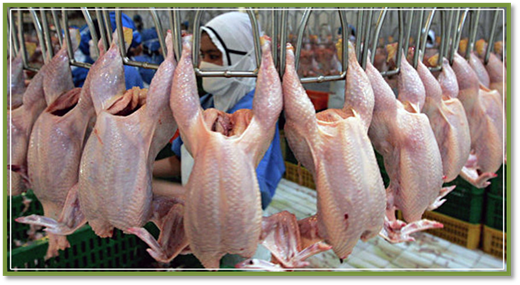 : http://varimparim.ru/uploads/image/rezepty/pravka/kura1.jpg