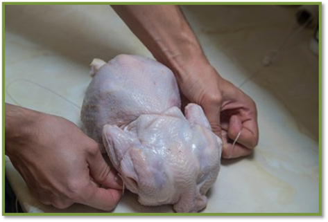 : http://ratatui.org/uploads/posts/2014-10/141275321745346ea4b1152.jpeg