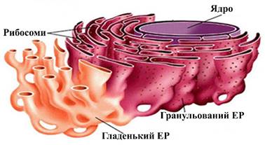 v:shapes="_x0020_63"