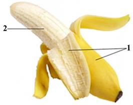 v:shapes="_x0000_i1131"