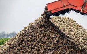 ,         SuperAgronom.com