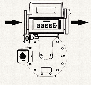 image100_upscayl_4x_realesrgan-x4plus