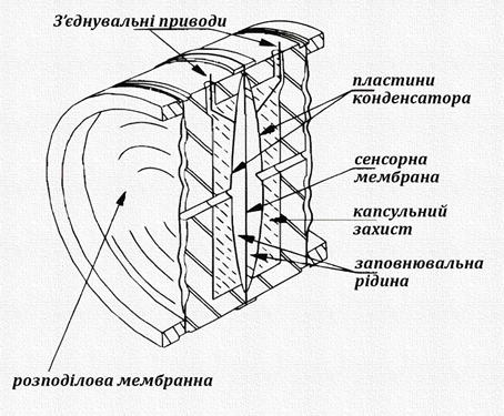 image008_upscayl_4x_realesrgan-x4plus 