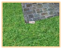 Realtime Landscaping Architect   