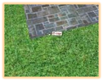 Realtime Landscaping Architect   