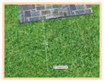 Realtime Landscaping Architect  