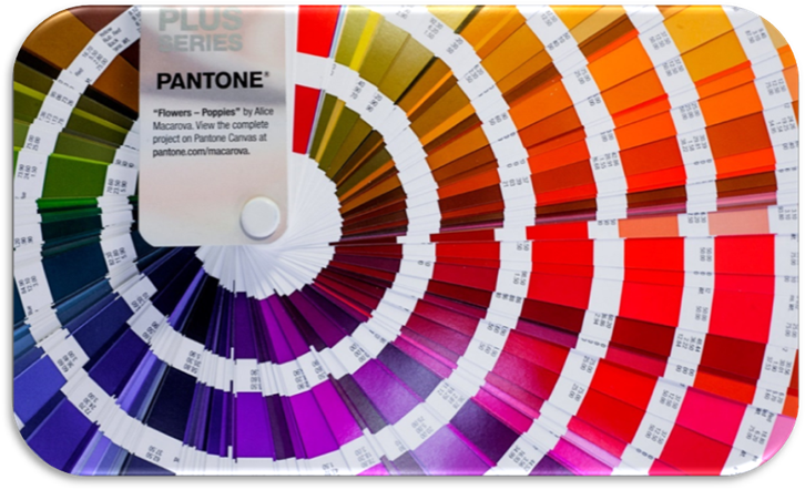   Pantone    .   Pantone |   -