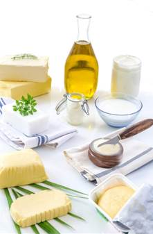 food-fats-and-oil-set-of-dairy-product-and-oil-and-animal-fats-on-KW0R4F