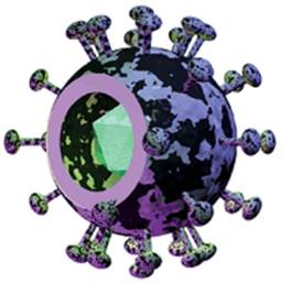 : : : : : : : : : : 18.5. Bovine Leukemia virus 