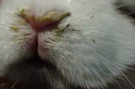 : : : : : : : : 22.31.   