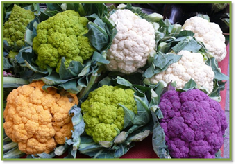 : : : : : : : : : cauliflower-768x576