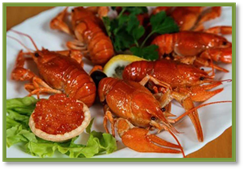 : https://sochimenu.com/sites/sochimenu.com/files/styles/adaptive/public/images/restaurants/15504/pervaya-rakovaya-krasnaya-polyana_ec8c28e8.jpg