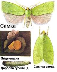 : : : : : clip_image001