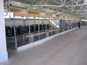: : : : : : : : : : : : : http://molochnoe-proizvodstvo.ru/wp-content/uploads/2013/01/MaternityStable1-300x225.jpg