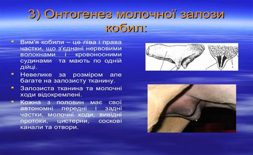 : : : : : : : : : : : : : http://image.slidesharecdn.com/random-140928181008-phpapp02/95/-10-1024.jpg?cb=1411946122