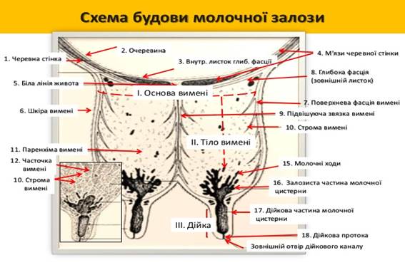 : : : : : : : : : : : : : http://image.slidesharecdn.com/random-140927060910-phpapp02/95/-12-638.jpg?cb=1411816302
