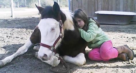 http://www.personal.psu.edu/jnm5324/child with horse.jpg