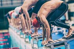 : : : : : : Group-of-swimmers-jumping-into-the-pool